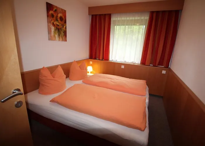 公寓 彼得豪斯希斯特公寓 *