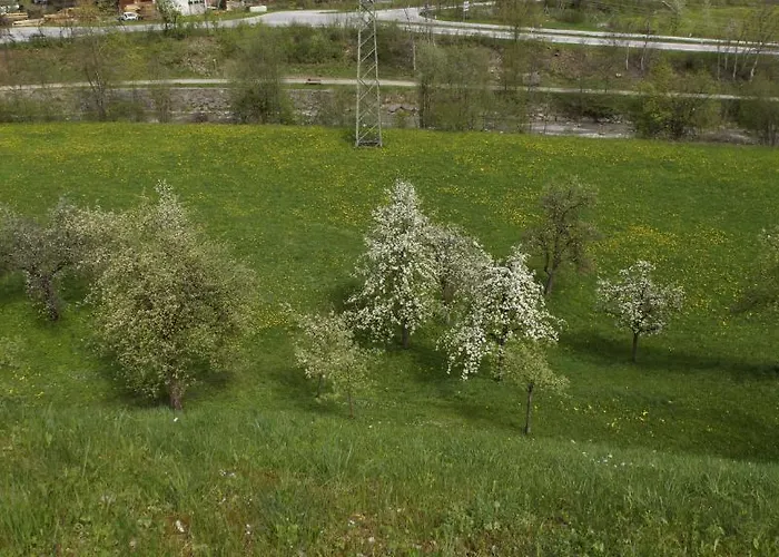 彼得豪斯希斯特公寓 公寓