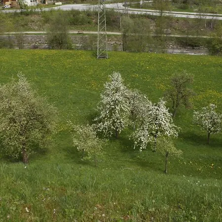 Haus Peter Schiestl Appartement